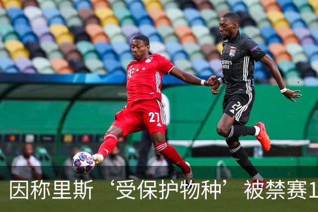 因称里斯‘受保护物种’被禁赛1场，前NBA球星怒批：该禁2场，她是在叫我们动物